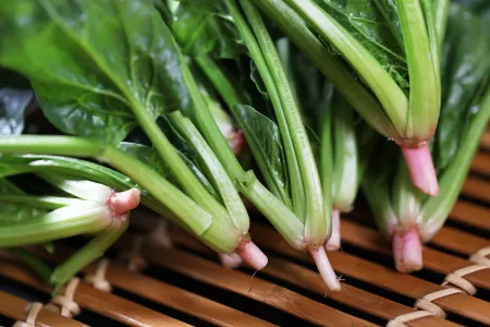 夏至吃三鲜，快乐似神仙，6月21日夏至，3鲜指啥？咋吃更受益